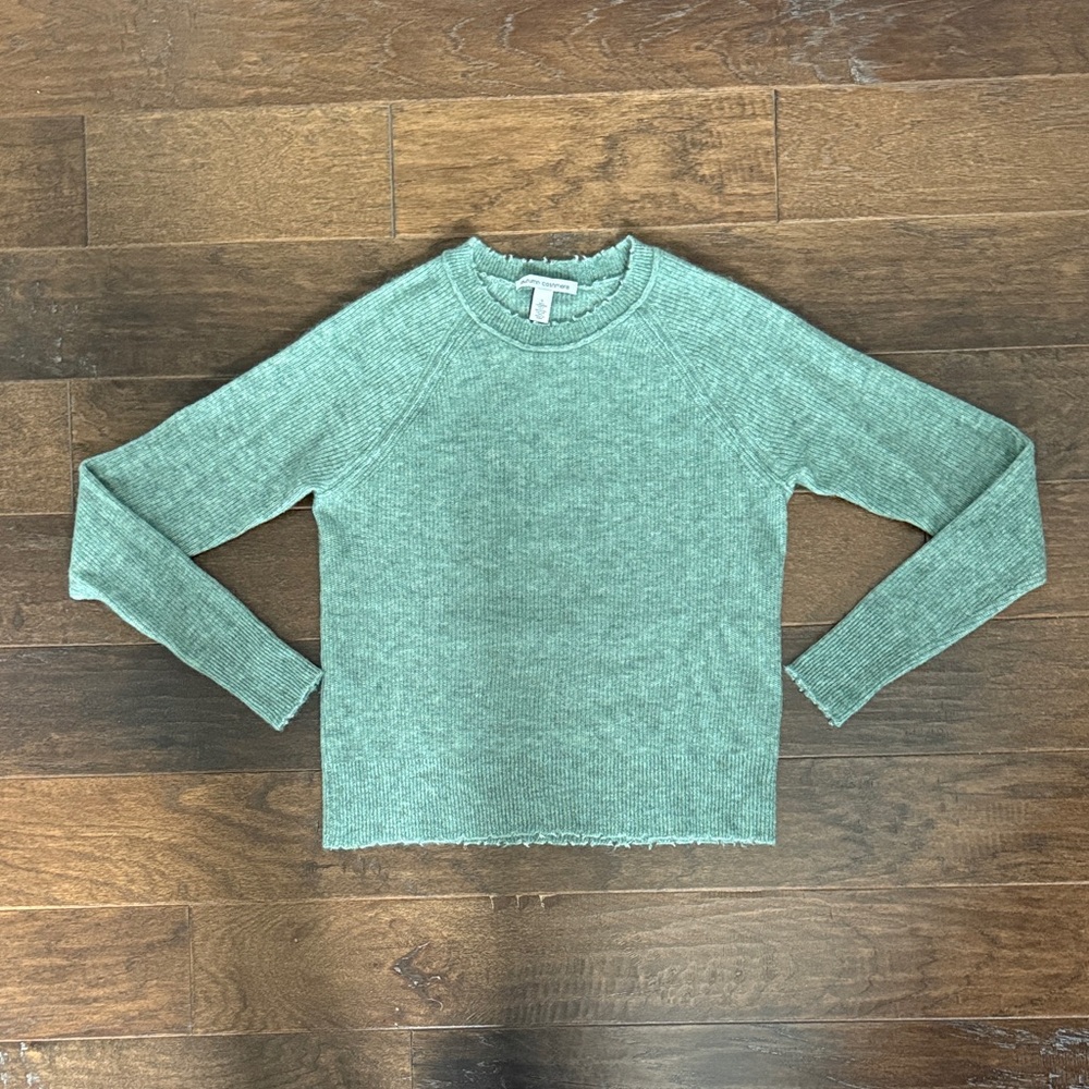 Autumn Cashmere distressed crew neck sweater. Women’s size S
